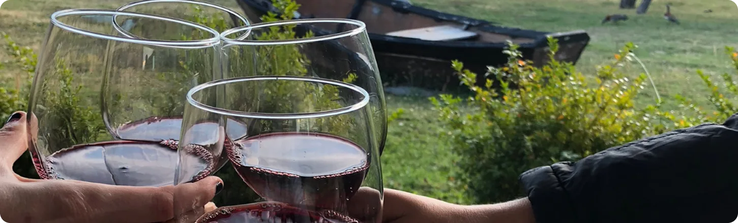 Work Well Retreats - Wine Tasting