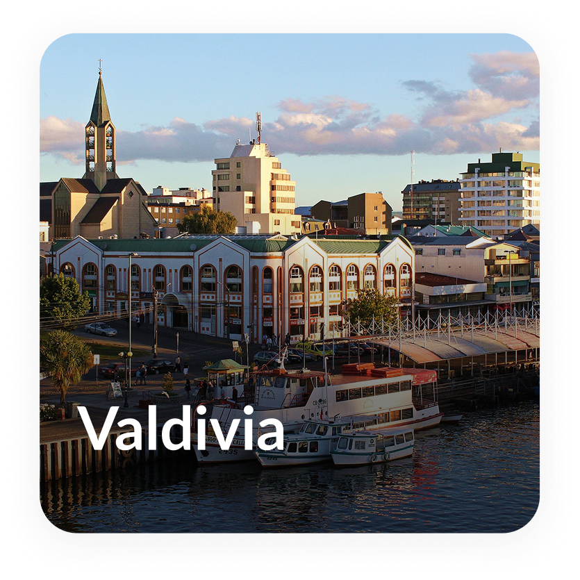 work well retreats - valdivia